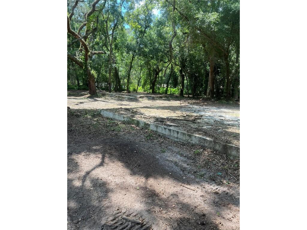 7415 20th Street Zephyrhills FL 33540 T3535664 image2