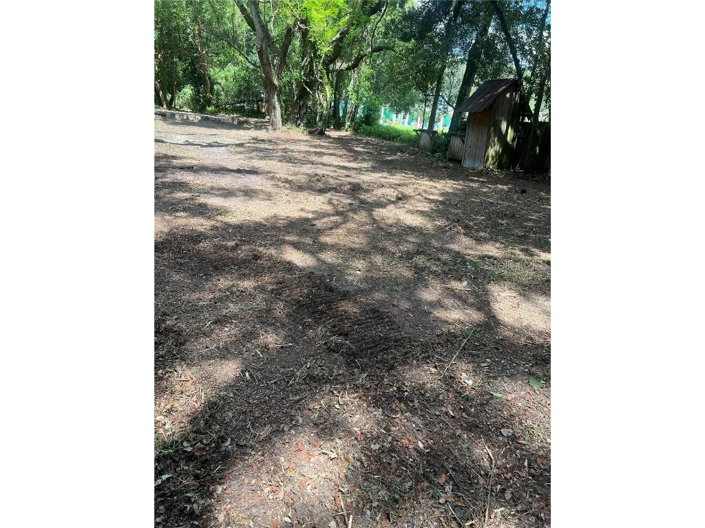 7415 20th Street Zephyrhills FL 33540 T3535664 image3