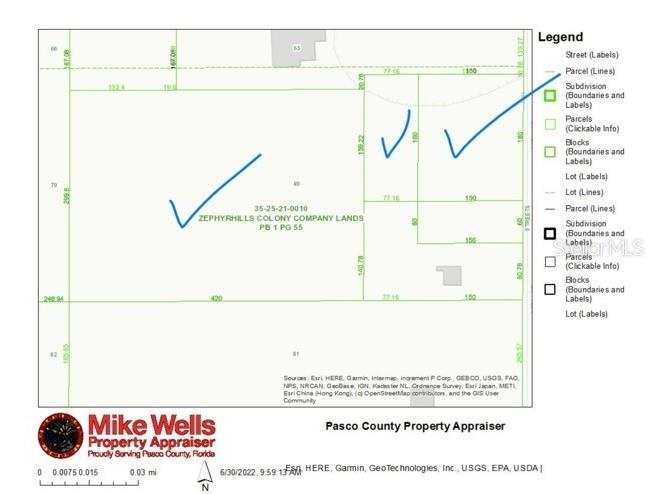 7415 20th Street Zephyrhills FL 33540 T3535664 image4