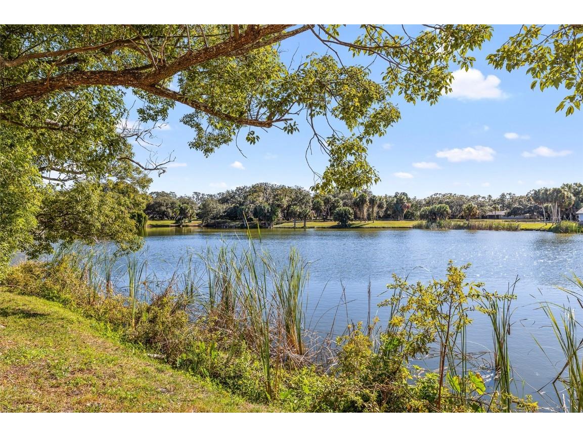 7415 Lake Forest Circle Port Richey FL 34668 TB8442615 image38