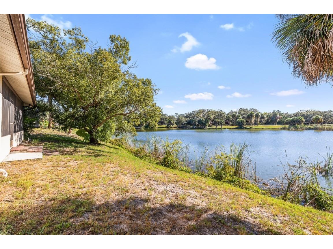 7415 Lake Forest Circle Port Richey FL 34668 TB8442615 image39