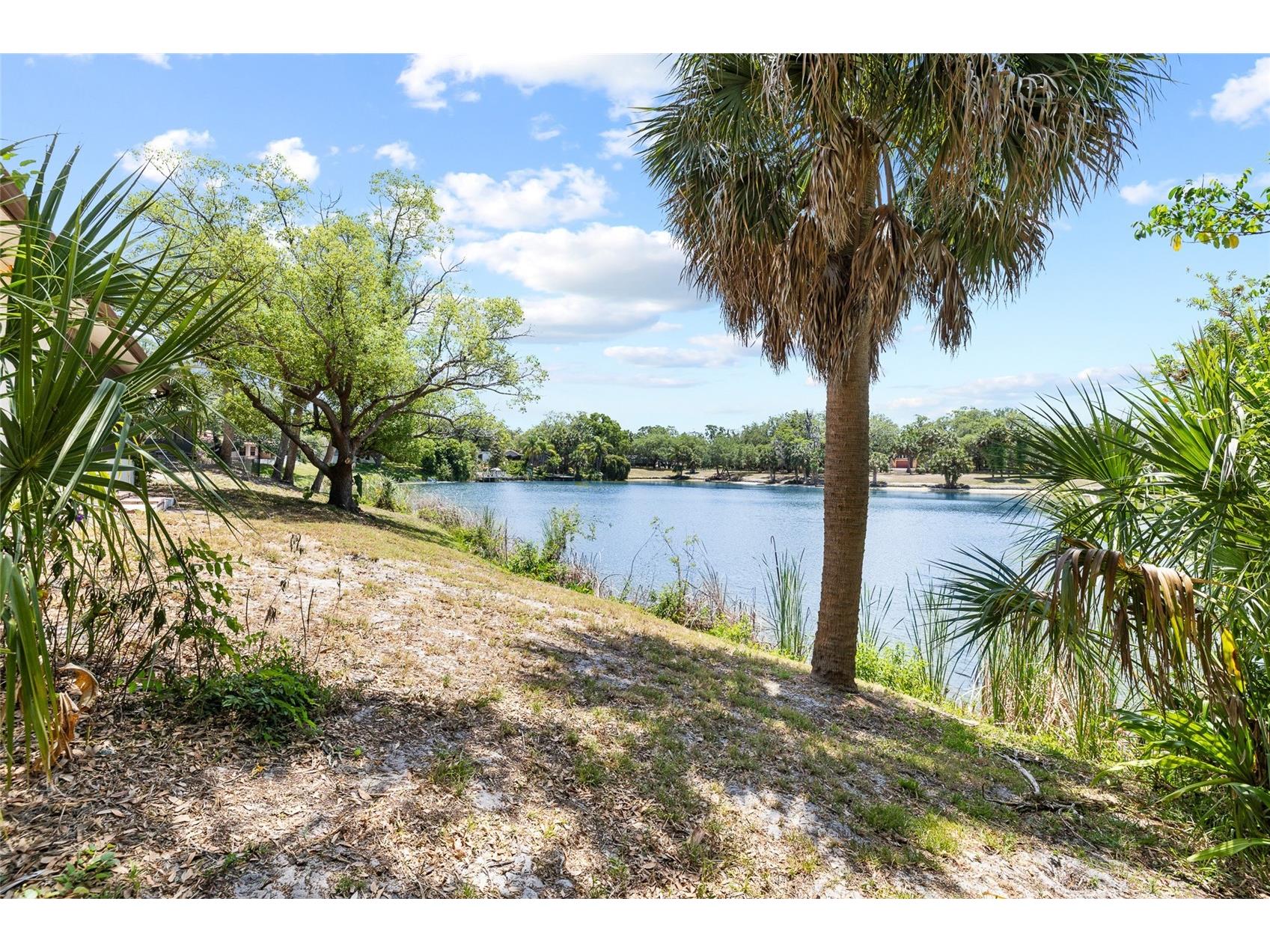 7415 Lake Forest Circle Port Richey FL 34668 TB8504158 image41