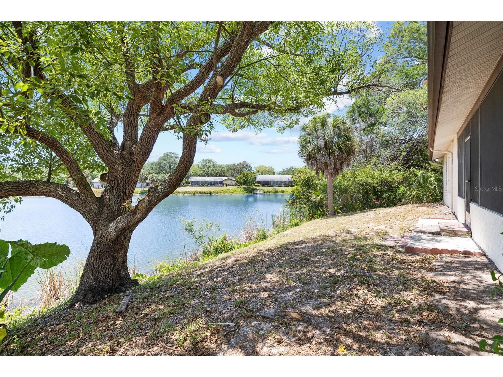 7415 Lake Forest Circle Port Richey FL 34668 TB8504158 image42