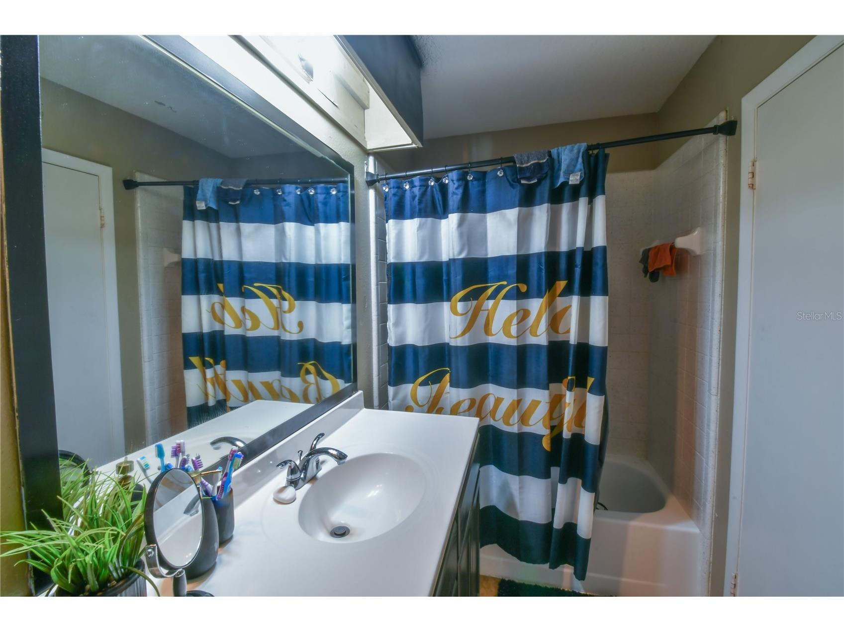7416 Little Pond Court Orlando FL 32810 O6391474 image12