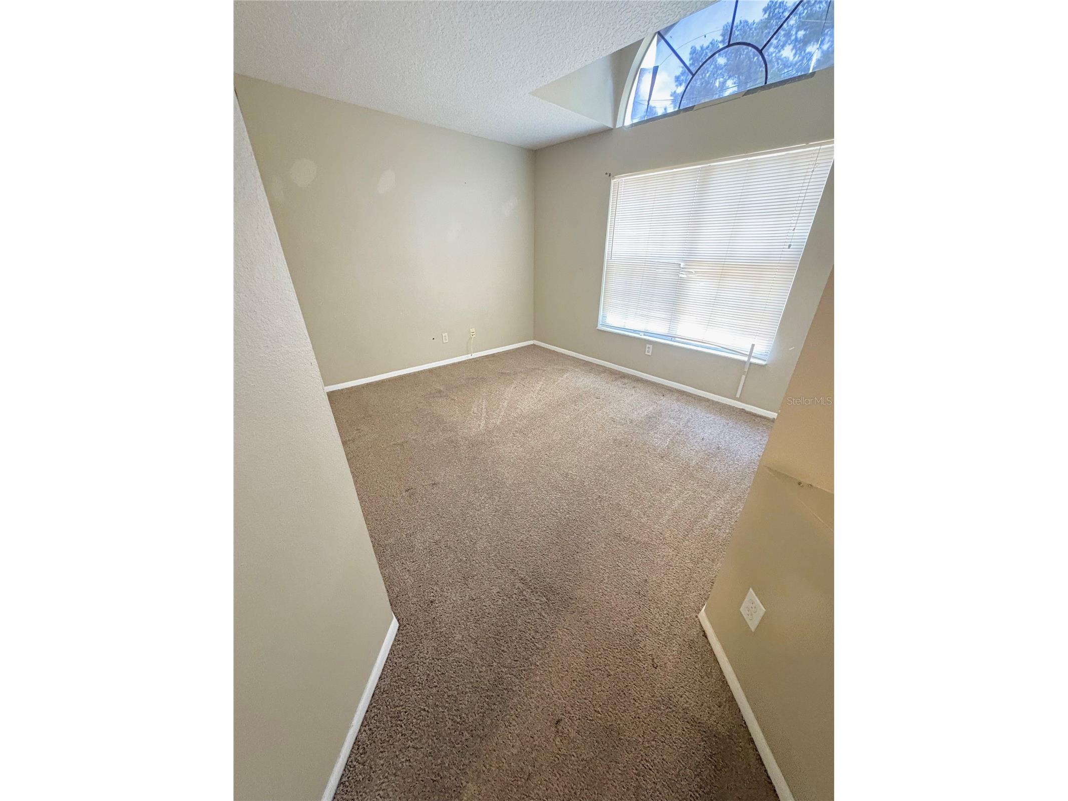 7416 Little Pond Court Orlando FL 32810 O6391474 image19