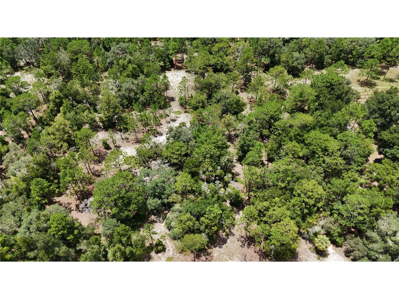 7416 N Nathan Point Crystal River FL 34428 O6227977 image1