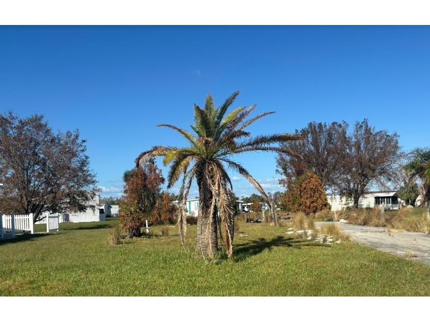 7416 Widness Lane Port Charlotte FL 33981 - BUTTERFORD WATERWAY C7499299 image4