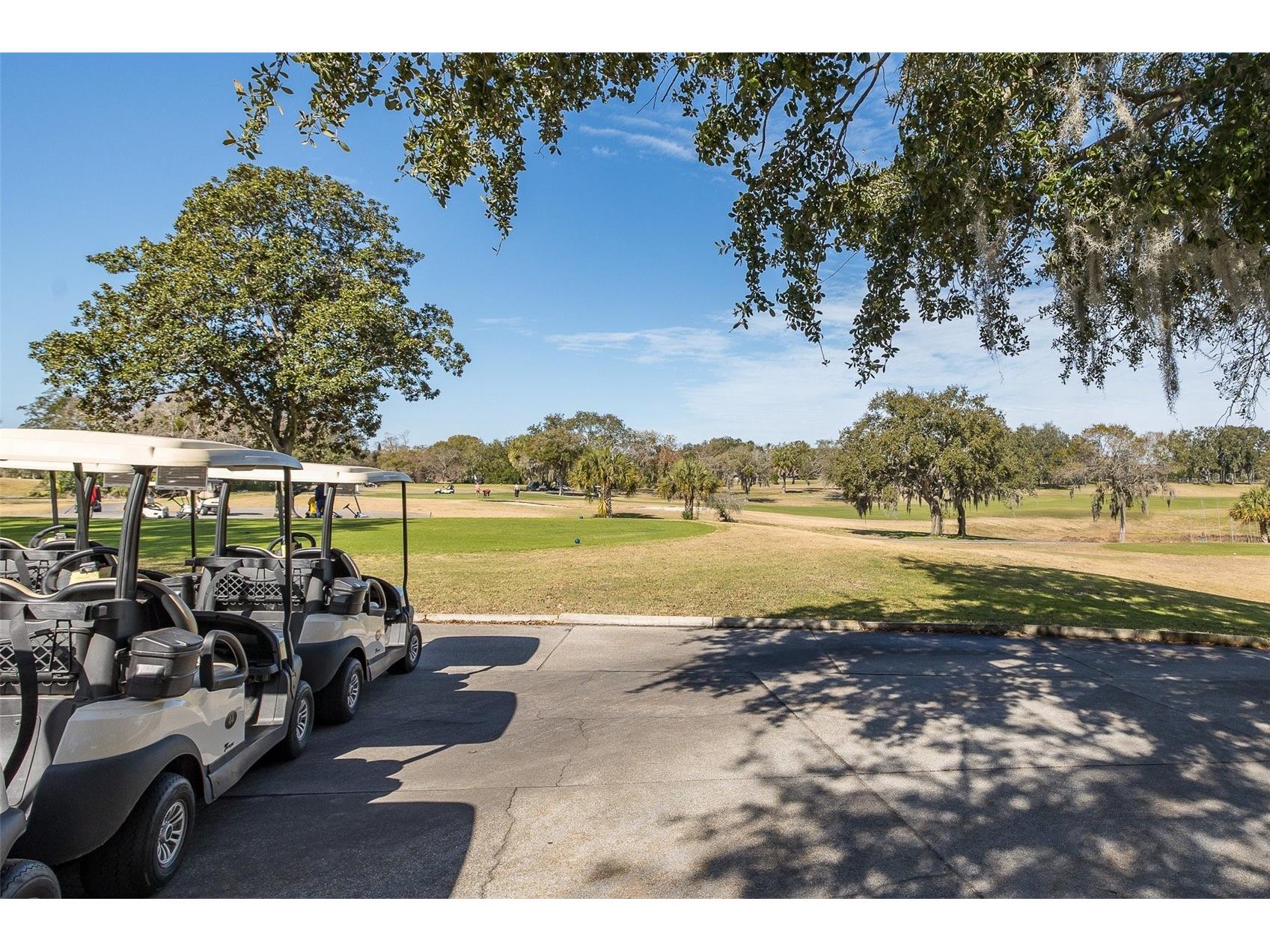 7417 Greystone Drive #7417 Hudson FL 34667 W7882760 image33