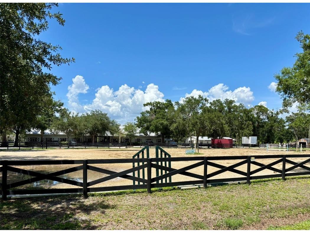 7418 Bay Drive Tampa FL 33635 - MOBBLY BAY/TAMPA BAY TB8344074 image39