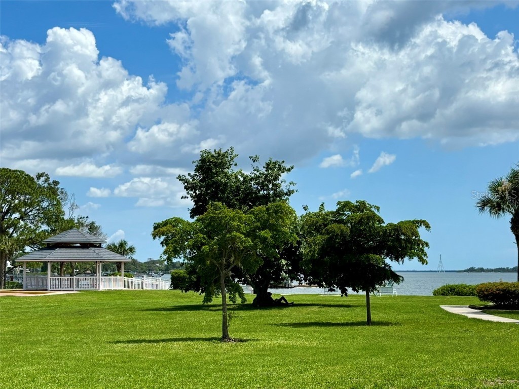 7418 Bay Drive Tampa FL 33635 - MOBBLY BAY/TAMPA BAY TB8344074 image50