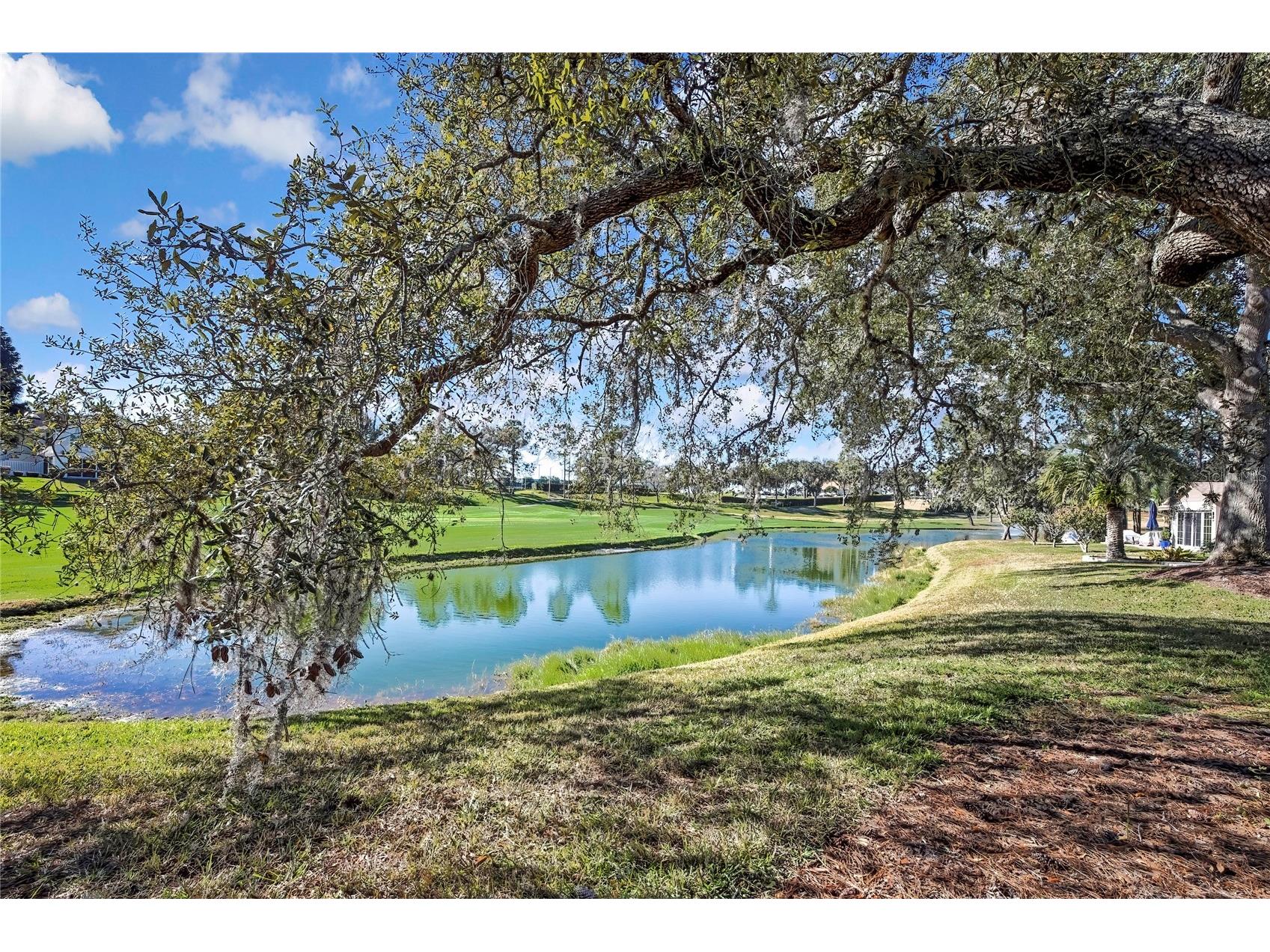 7418 Baywood Forest Circle Spring Hill FL 34606 TB8470276 image35