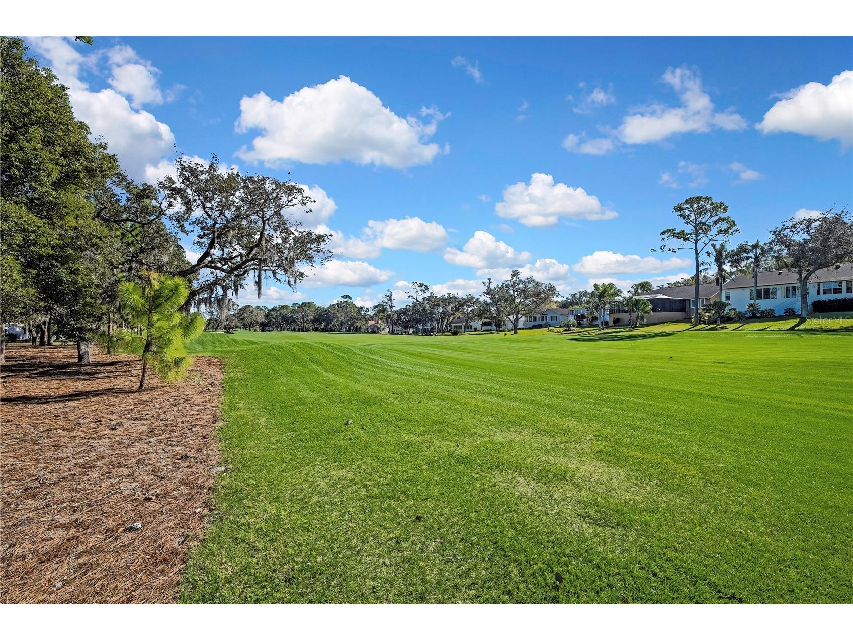 7418 Baywood Forest Circle Spring Hill FL 34606 TB8470276 image36