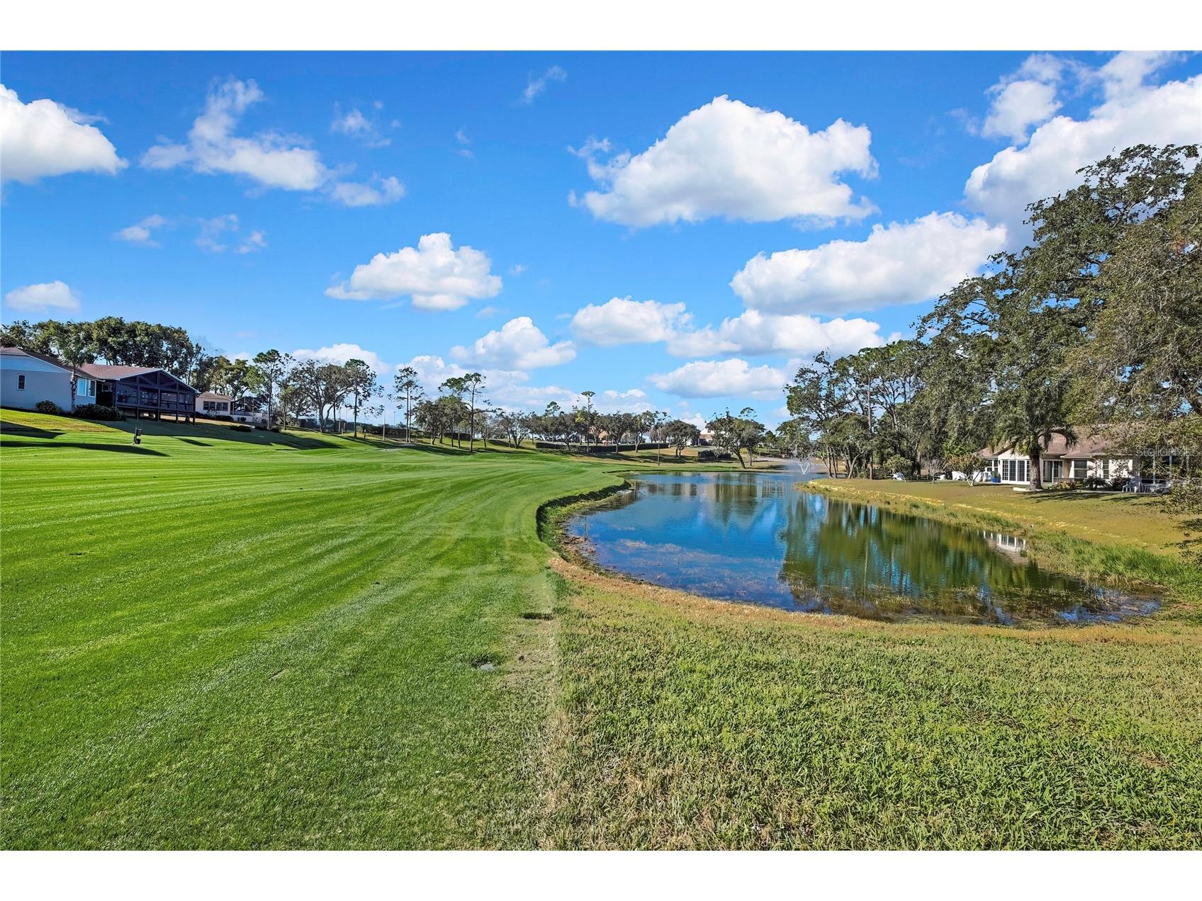 7418 Baywood Forest Circle Spring Hill FL 34606 TB8470276 image37