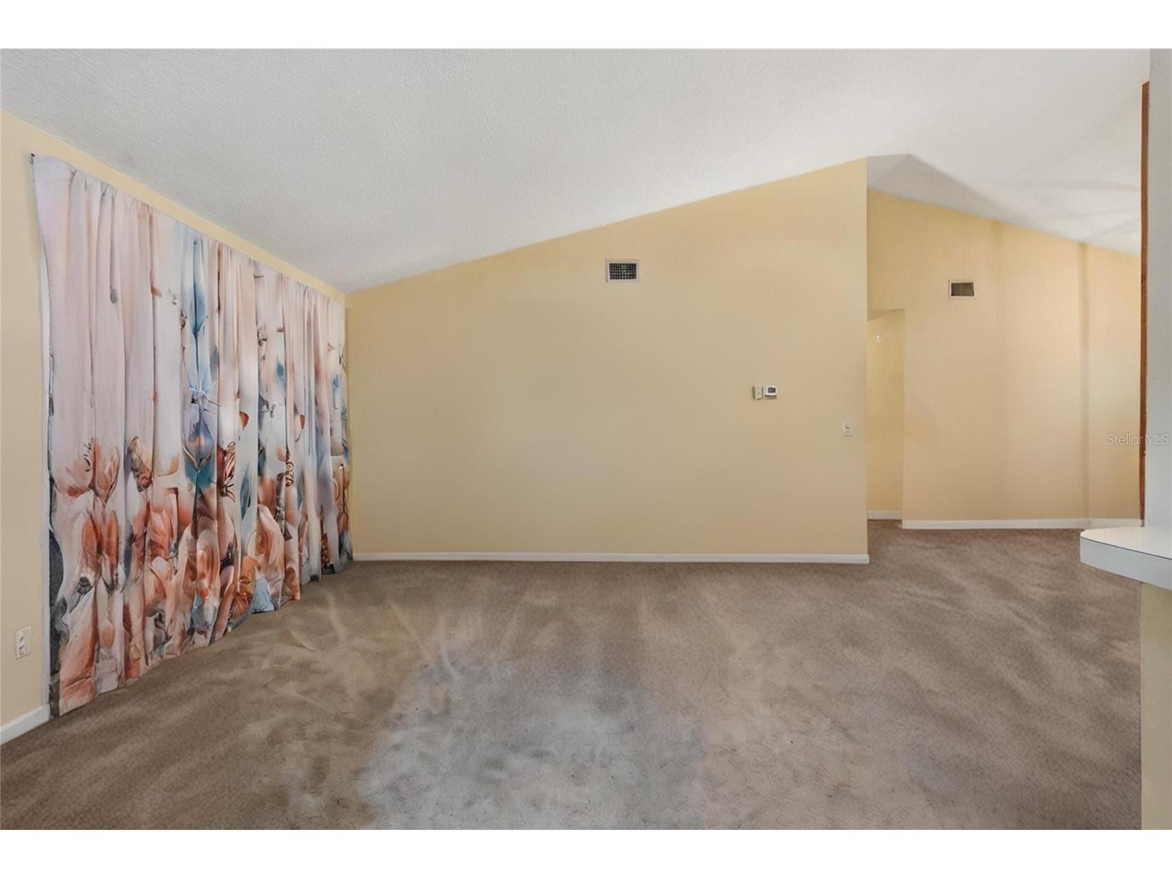7418 Riverbank Drive New Port Richey FL 34655 TB8488547 image21