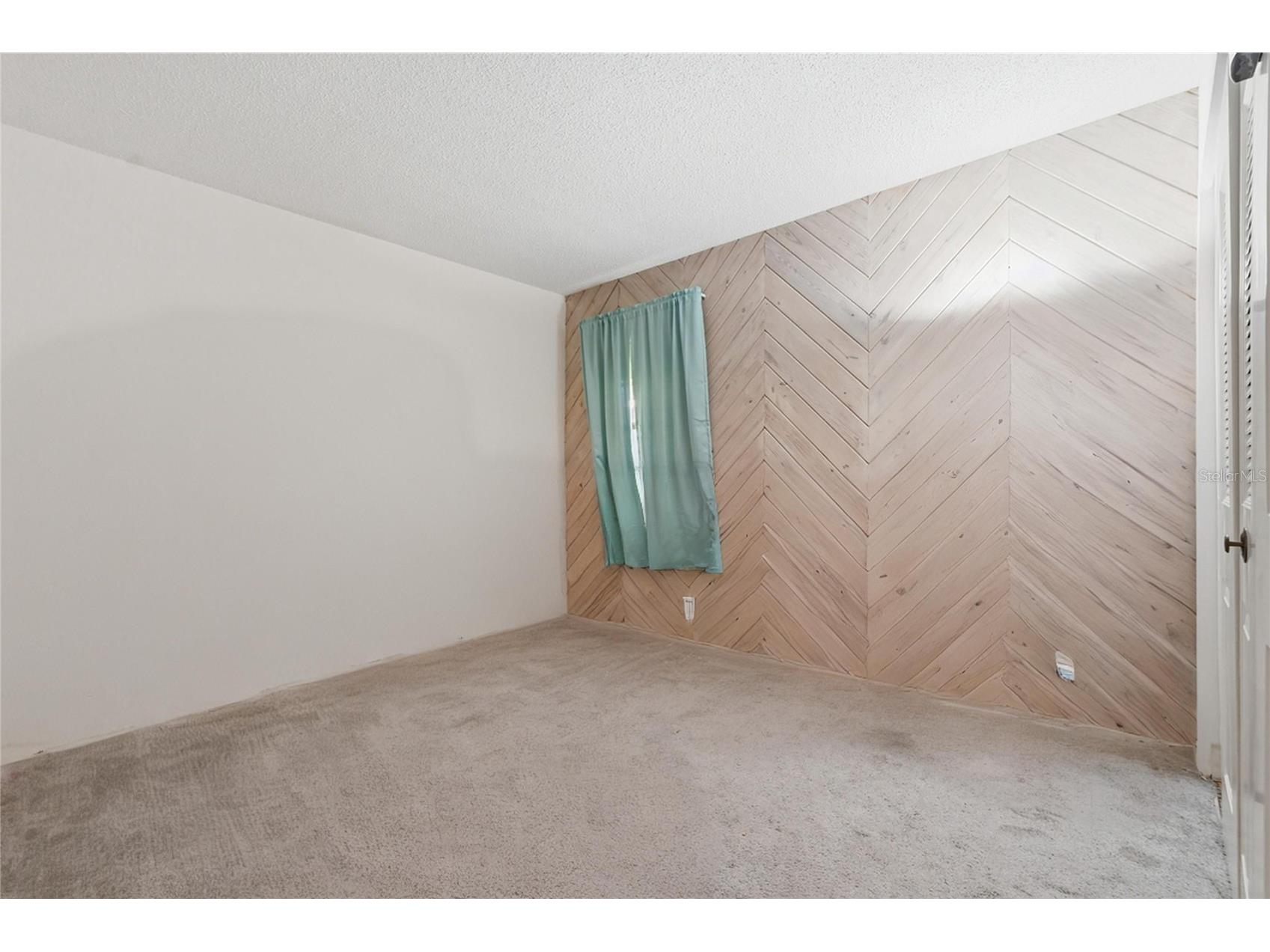 7418 Riverbank Drive New Port Richey FL 34655 TB8488547 image44