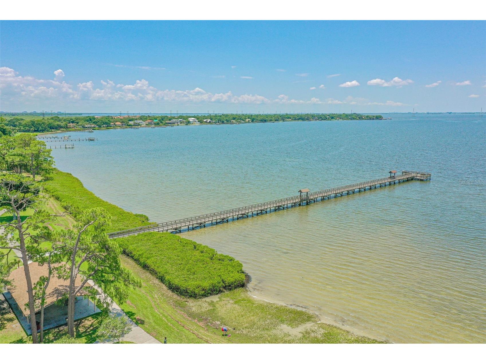 7418 Seagull Way Tampa FL 33635 TB8490354 image55