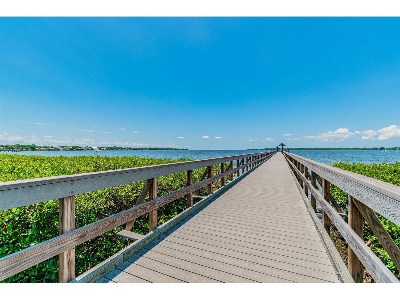 7418 Seagull Way Tampa FL 33635 TB8490354 image57