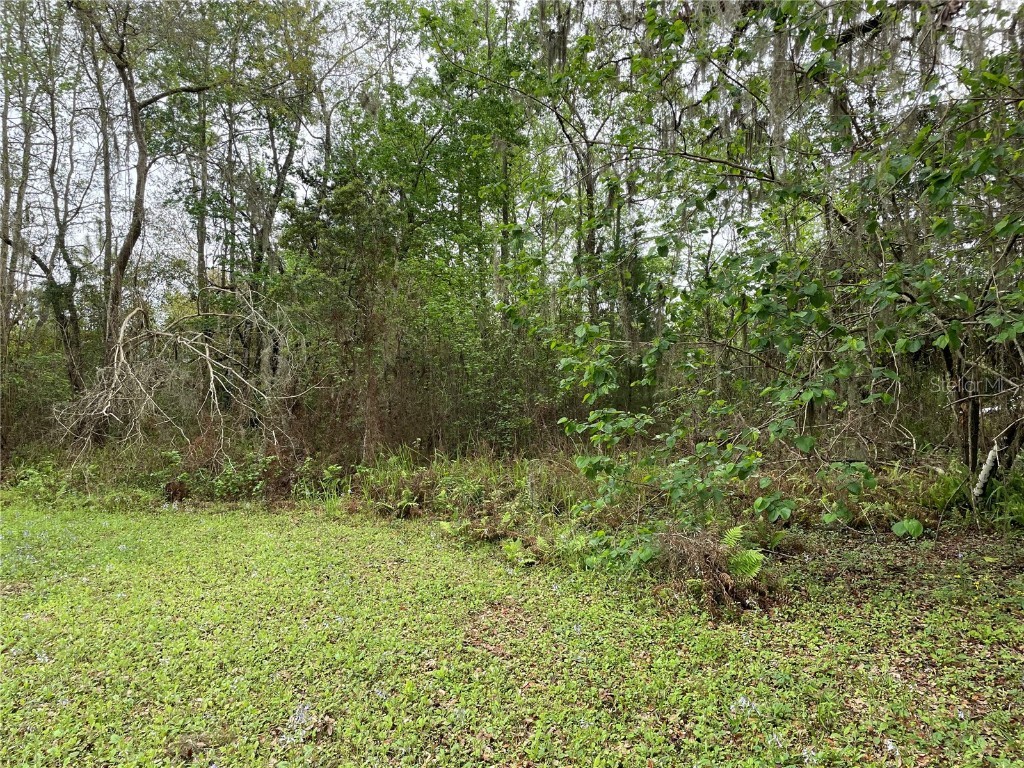 7419 Buck Hope Road Brooksville FL 34601 U8134423 image4