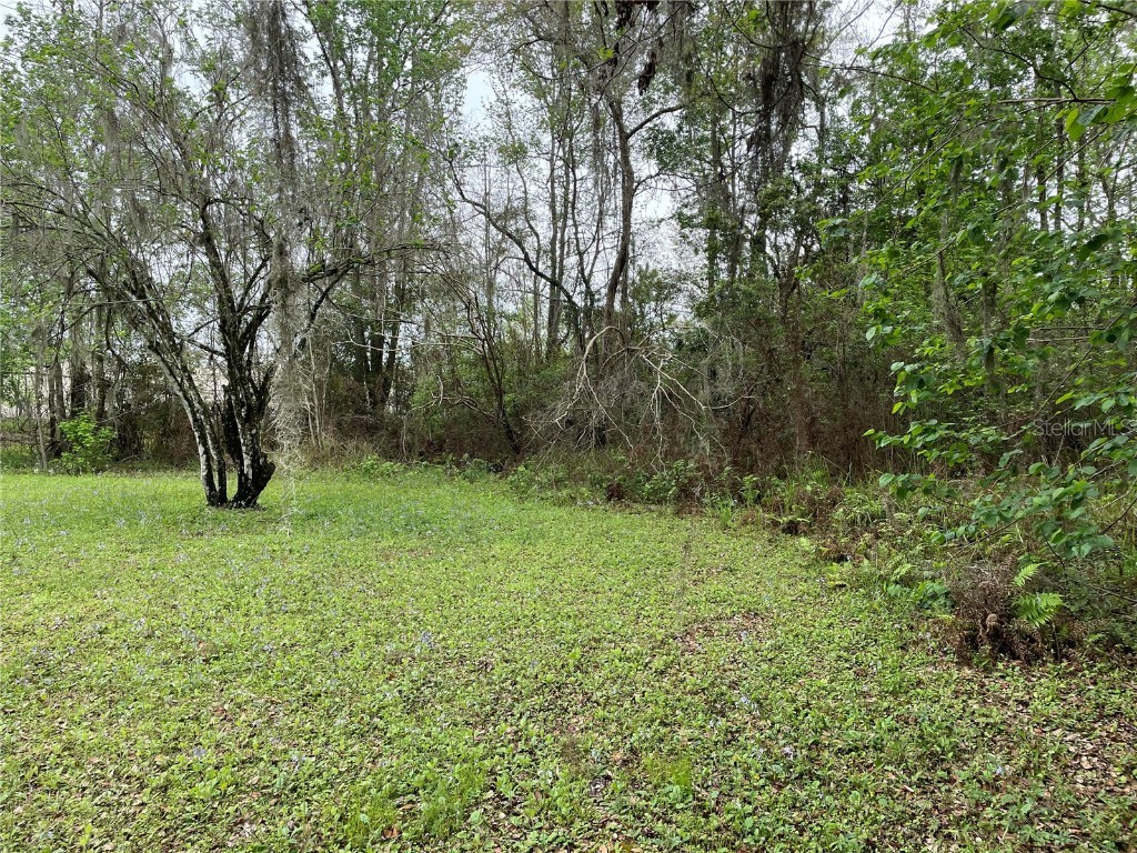 7419 Buck Hope Road Brooksville FL 34601 U8134423 image5