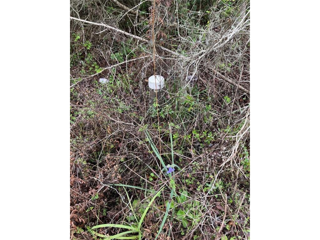7419 Buck Hope Road Brooksville FL 34601 U8134423 image6