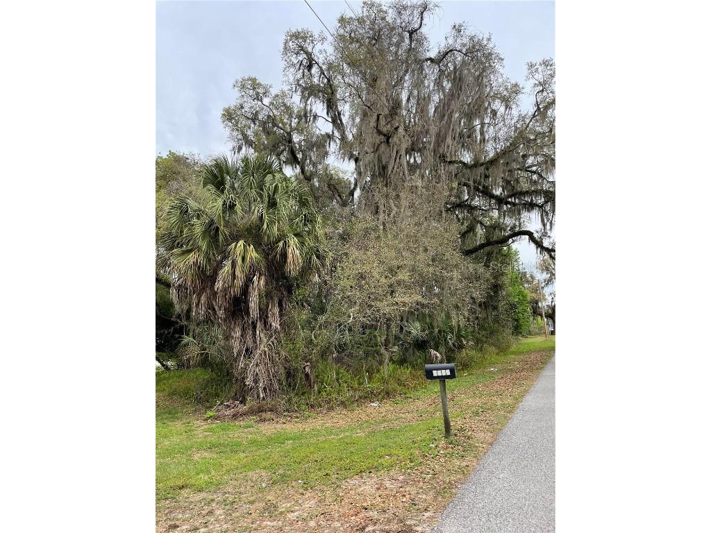 7419 Buck Hope Road Brooksville FL 34601 U8134423 image7