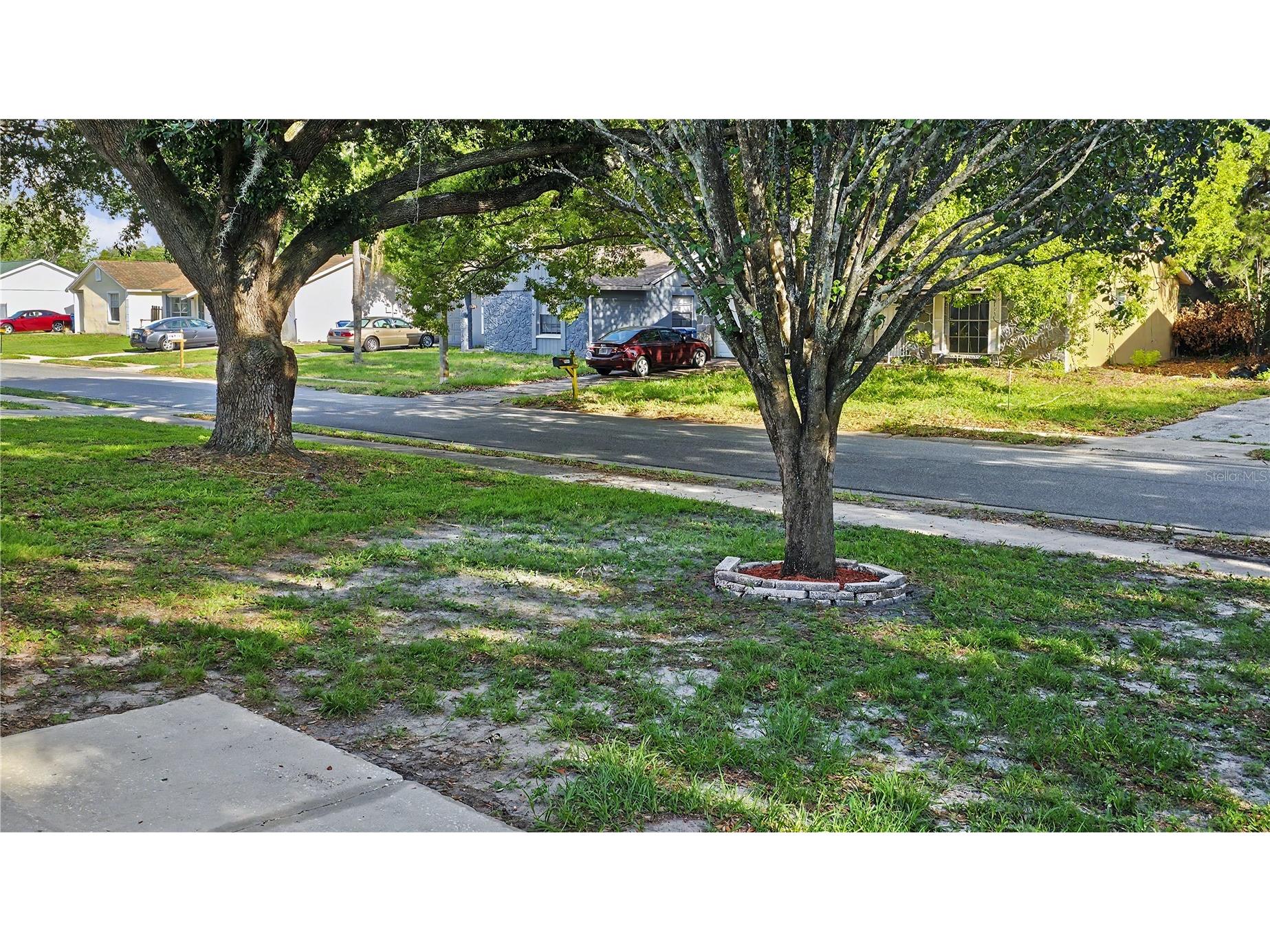 7419 Ivory Terrace New Port Richey FL 34655 TB8512984 image41
