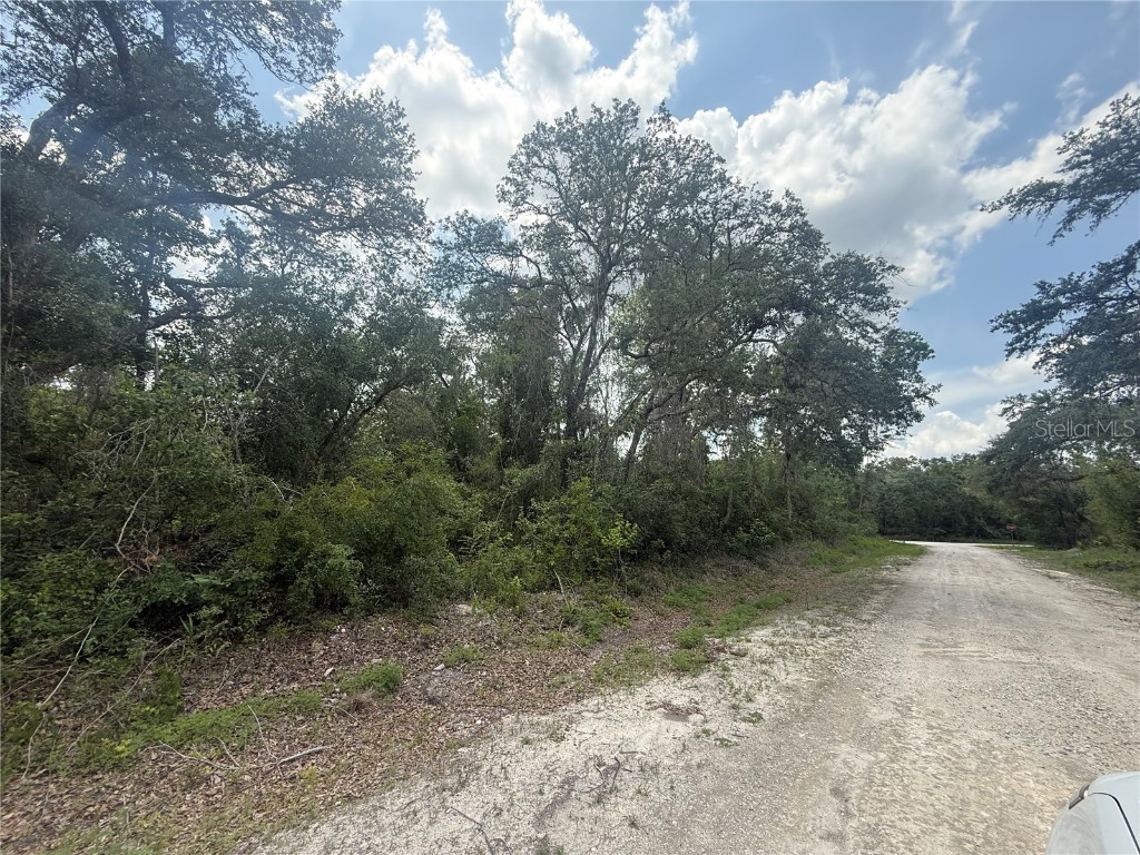 7419 Southeast Avenue Webster FL 33597 O6310501 image2