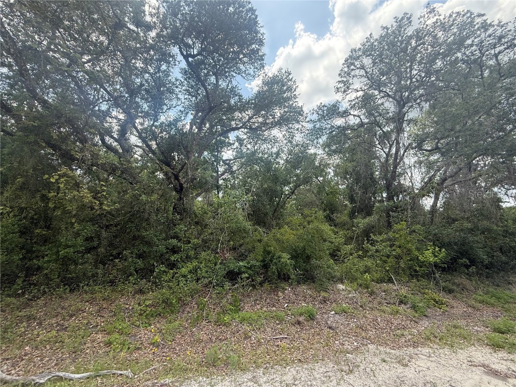 7419 Southeast Avenue Webster FL 33597 O6310501 image3