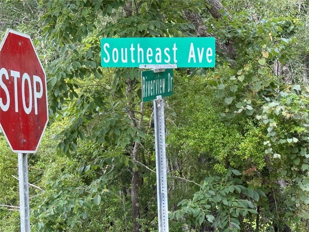 7419 Southeast Avenue Webster FL 33597 O6310501 image4