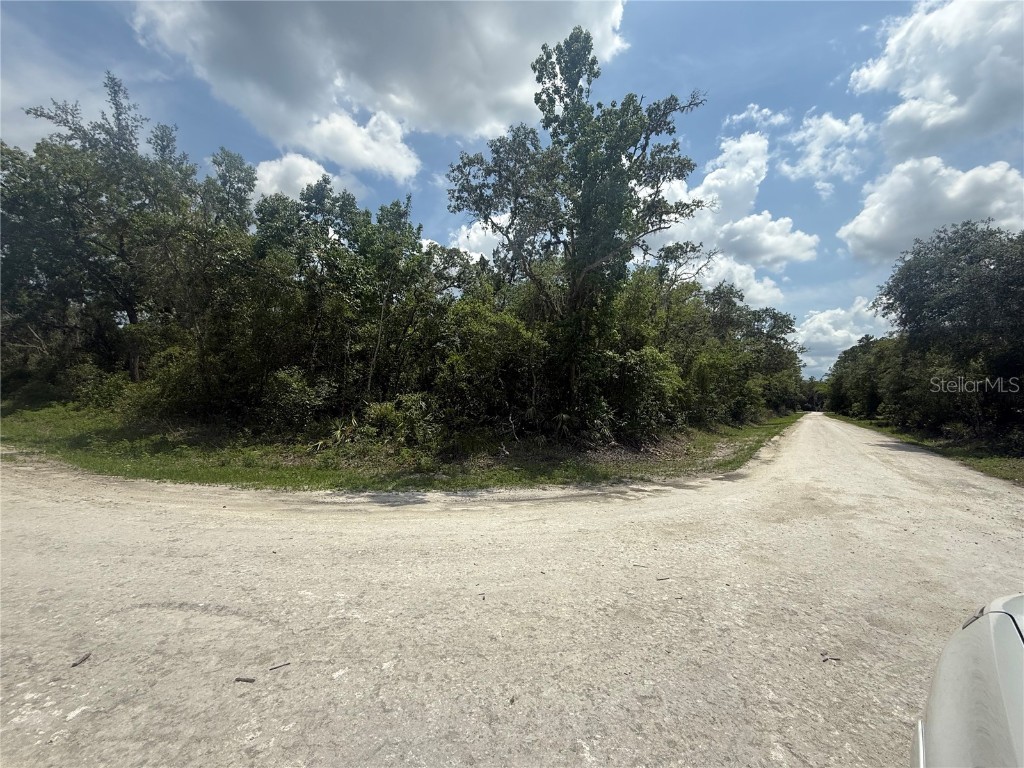 7419 Southeast Avenue Webster FL 33597 O6310501 image5