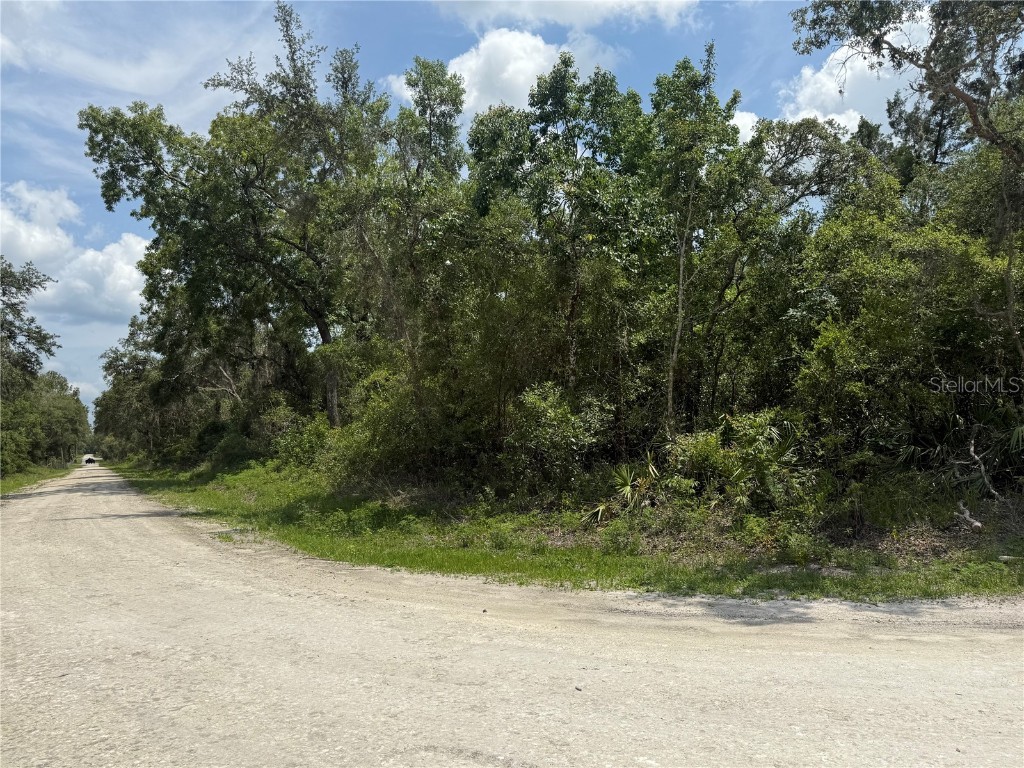 7419 Southeast Avenue Webster FL 33597 O6310501 image6