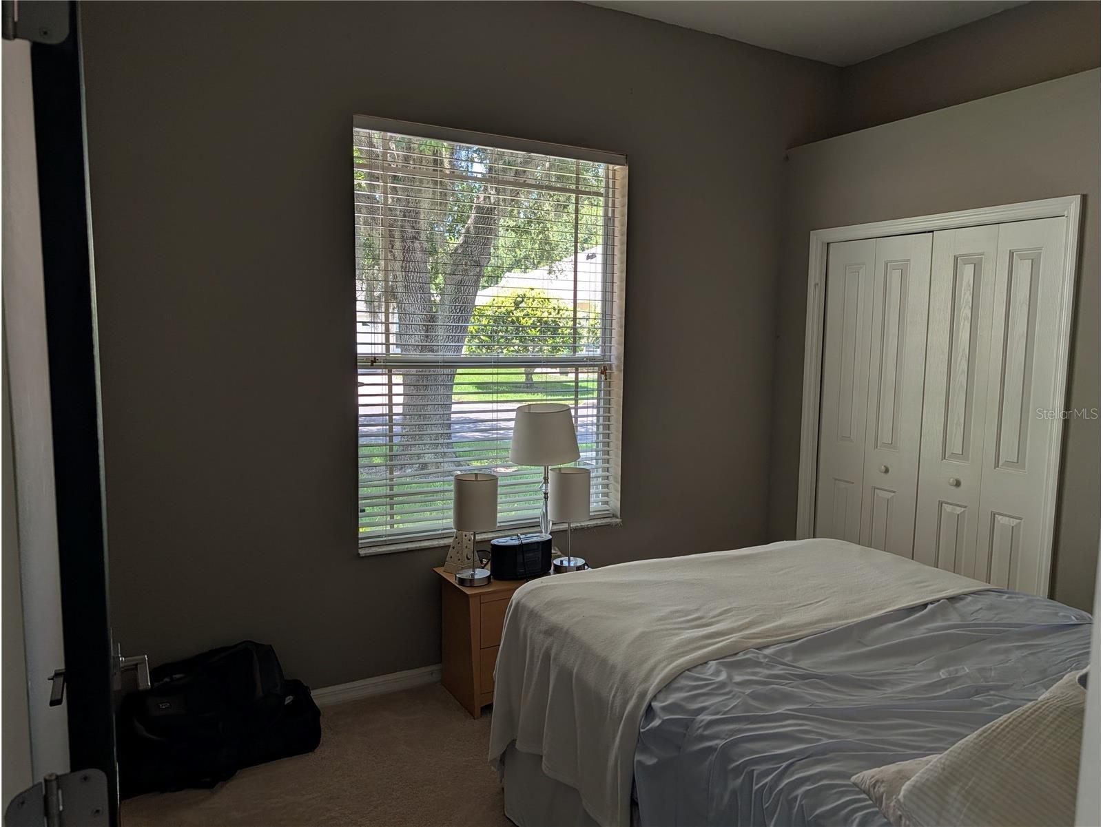 7419 Wimpole Drive New Port Richey FL 34655 W7886976 image12