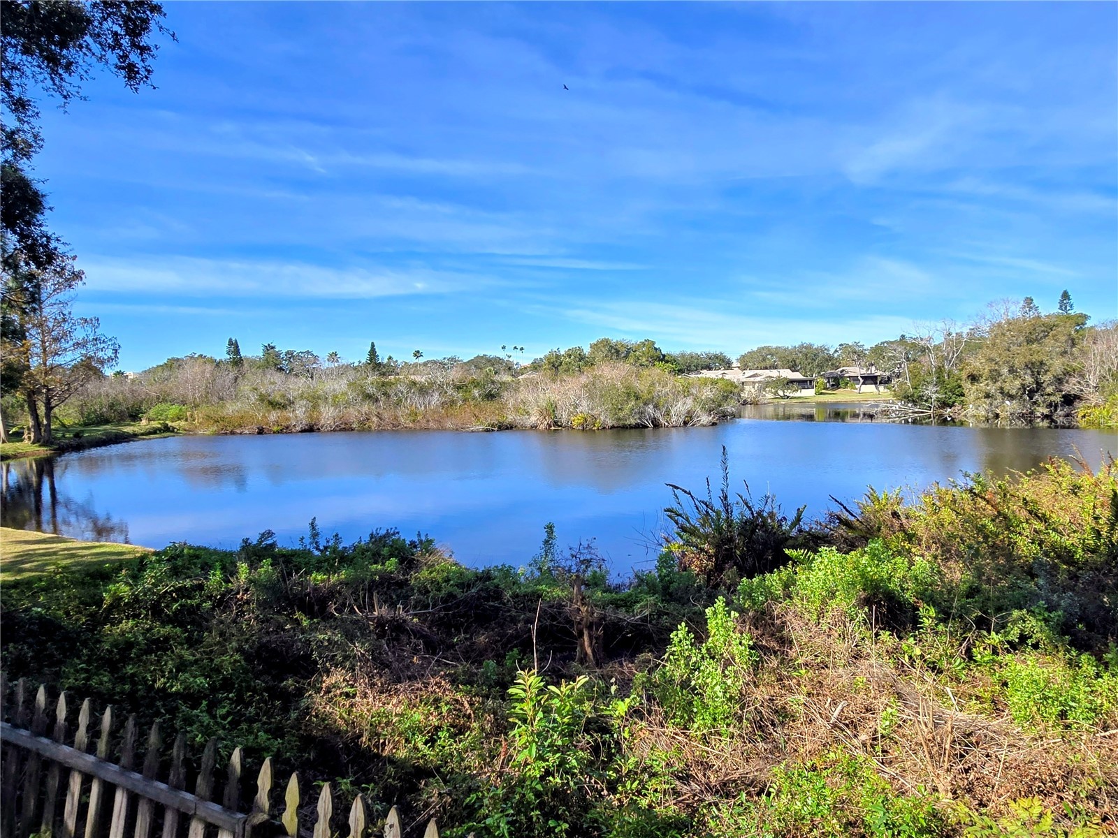 742 Arthurs Court Tarpon Springs FL 34689 TB8466466 image15