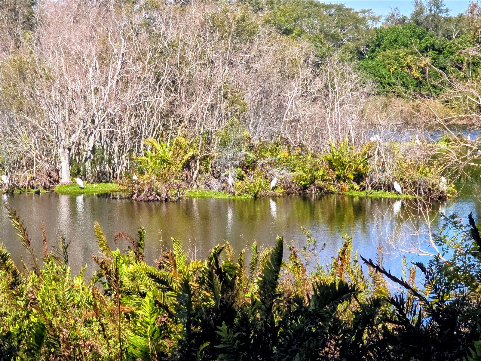 742 Arthurs Court Tarpon Springs FL 34689 TB8466466 image16