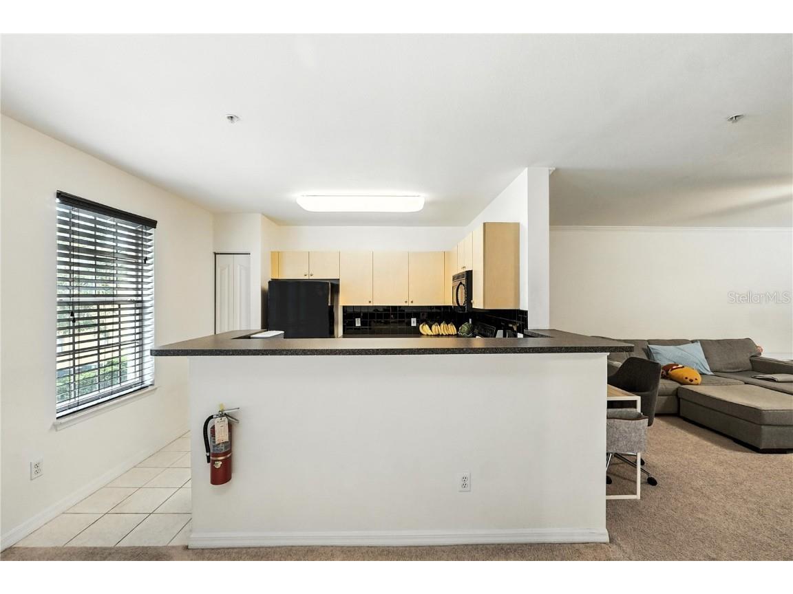 742 Centervale Drive #742 Celebration FL 34747 S5130624 image10