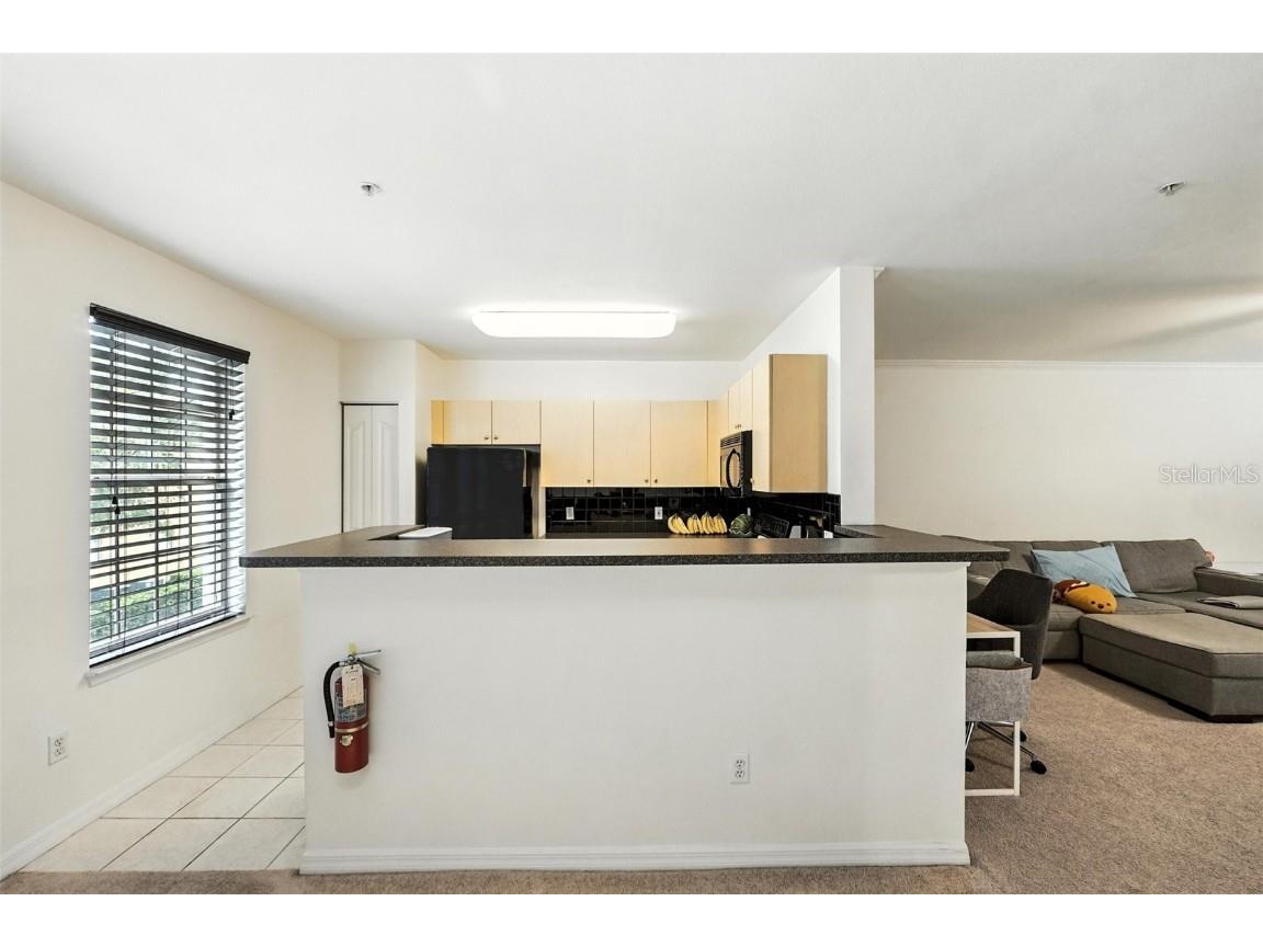 742 Centervale Drive #742 Celebration FL 34747 S5134276 image11