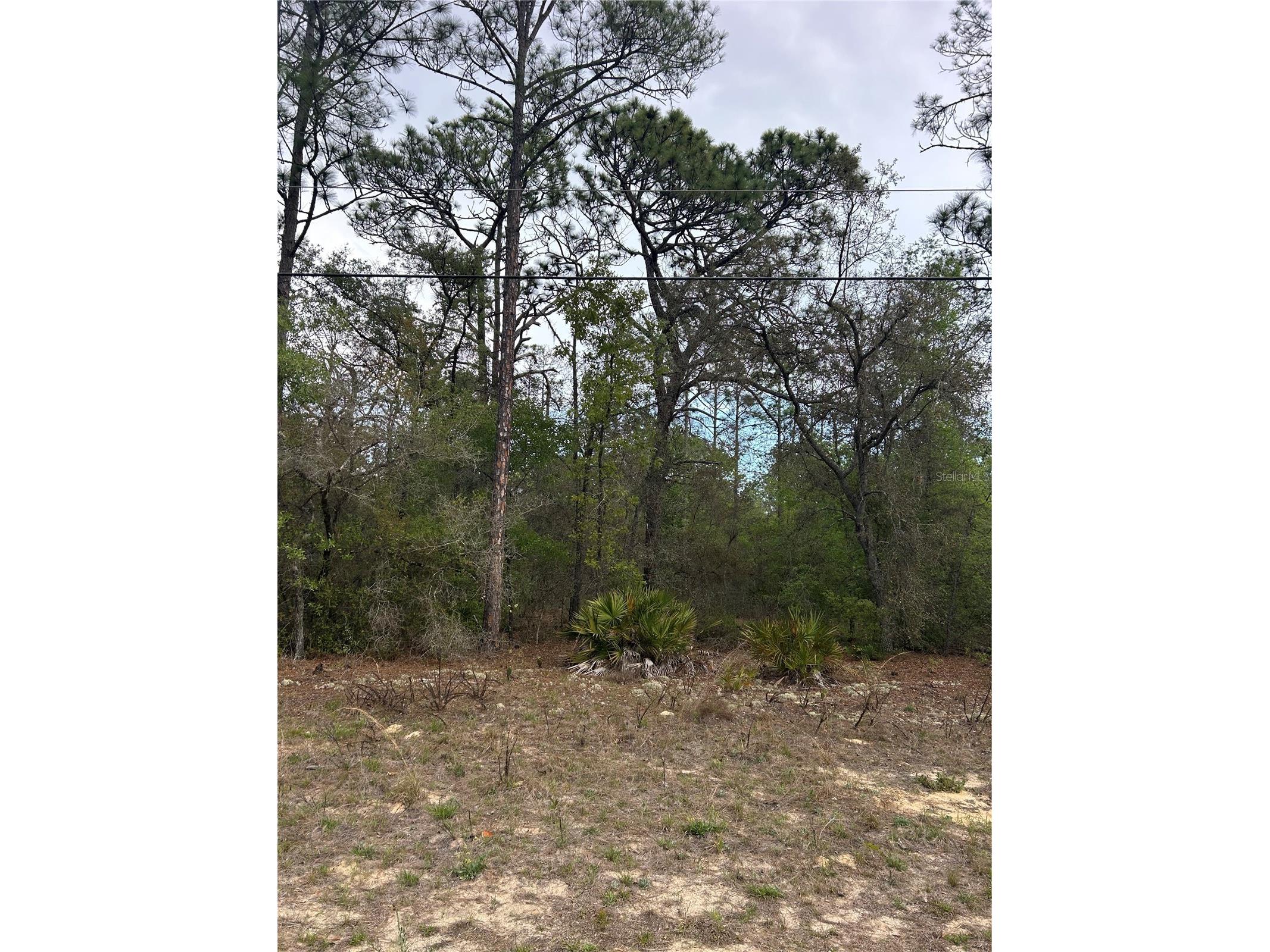 742 E Weldon Lane Dunnellon FL 34434 S5147615 image2