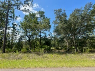 742 W Glenhaven Dr Citrus Springs FL 34434 W7853060 image1