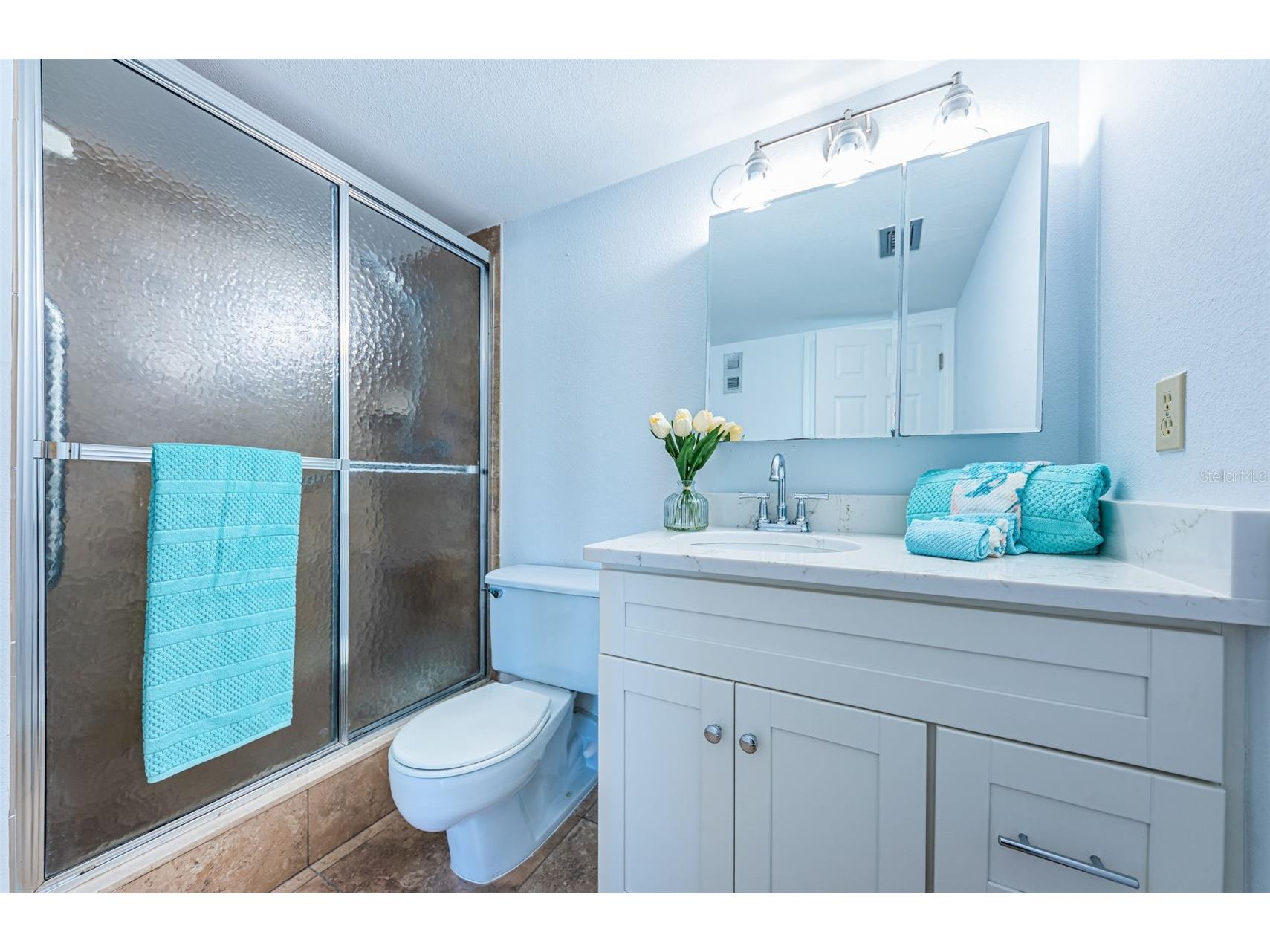 7420 Bay Island Drive S #171 South Pasadena FL 33707 TB8448755 image21