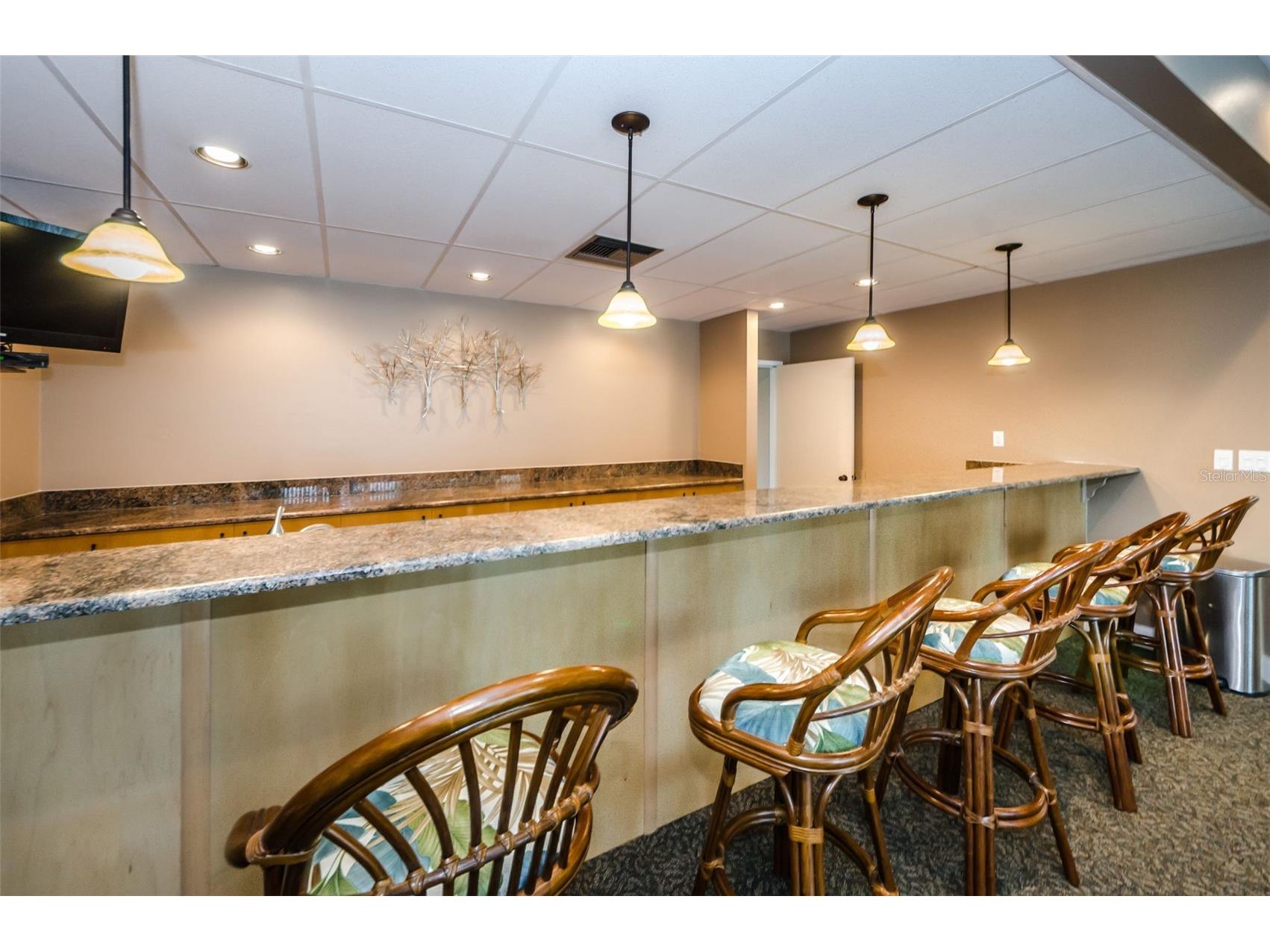 7420 Bay Island Drive S #171 South Pasadena FL 33707 TB8448755 image71