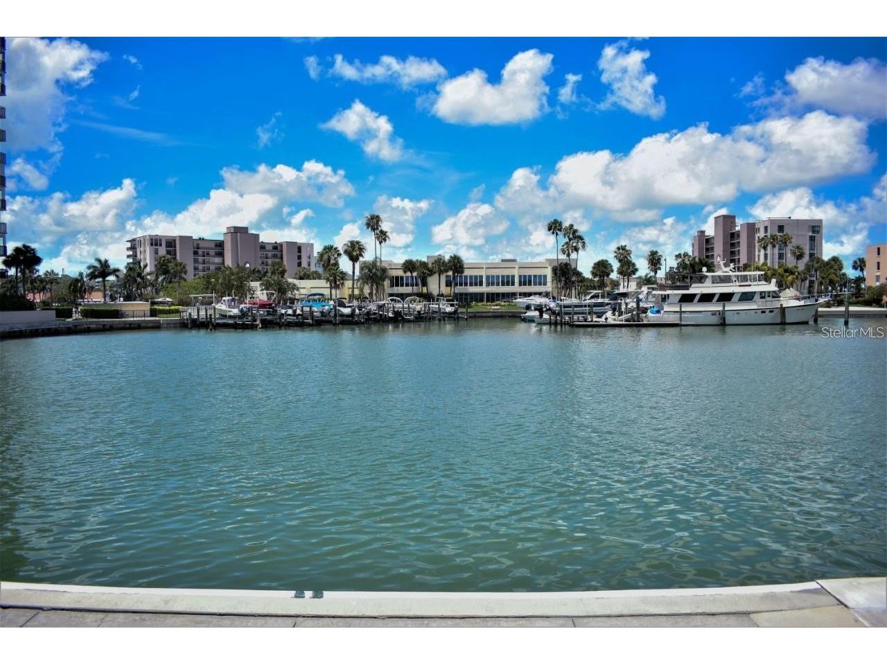 7420 Bay Island Drive S #176 South Pasadena FL 33707 TB8504122 image1
