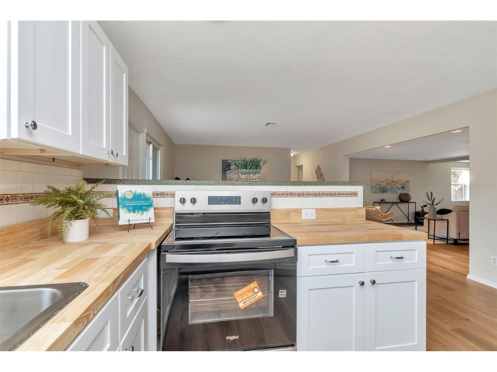 7420 Dr Martin Luther King Jr Street N Saint Petersburg FL 33702 TB8485831 image10