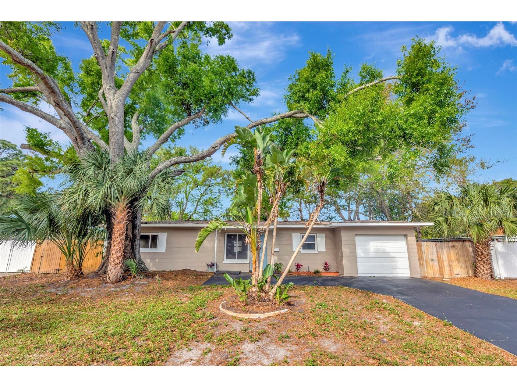 7420 Dr Martin Luther King Jr Street N Saint Petersburg FL 33702 TB8485831 image2