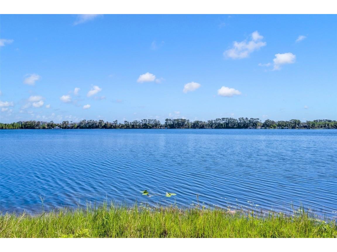 7420 Lake Willis Drive Orlando FL 32821 - LAKE WILLIS O6300373 image31