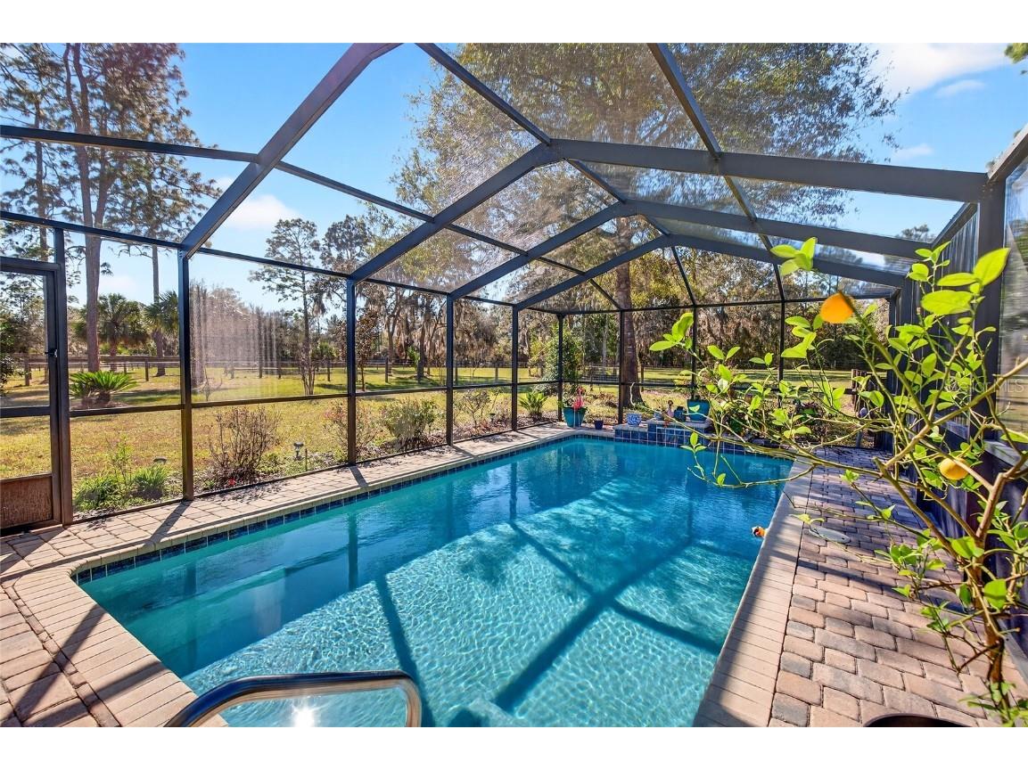 7420 SE 117th Terrace Morriston FL 32668 O6363430 image45