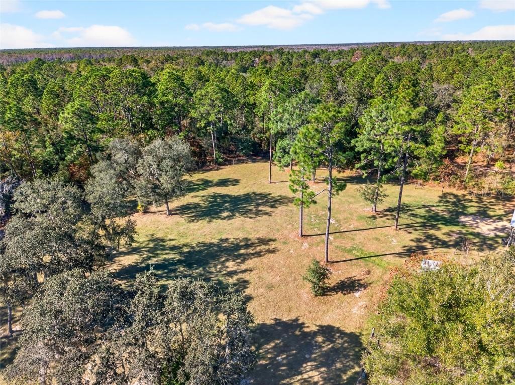 7420 SE 117th Terrace Morriston FL 32668 O6363430 image64