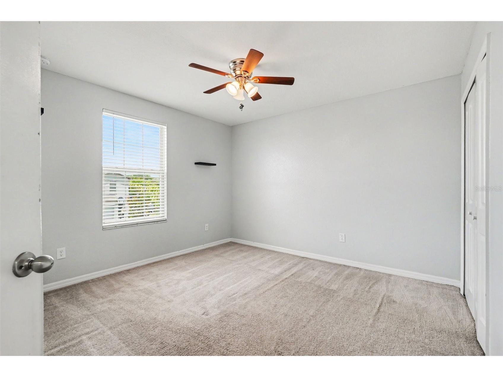 7421 French Marigold Avenue Tampa FL 33619 TB8506689 image14