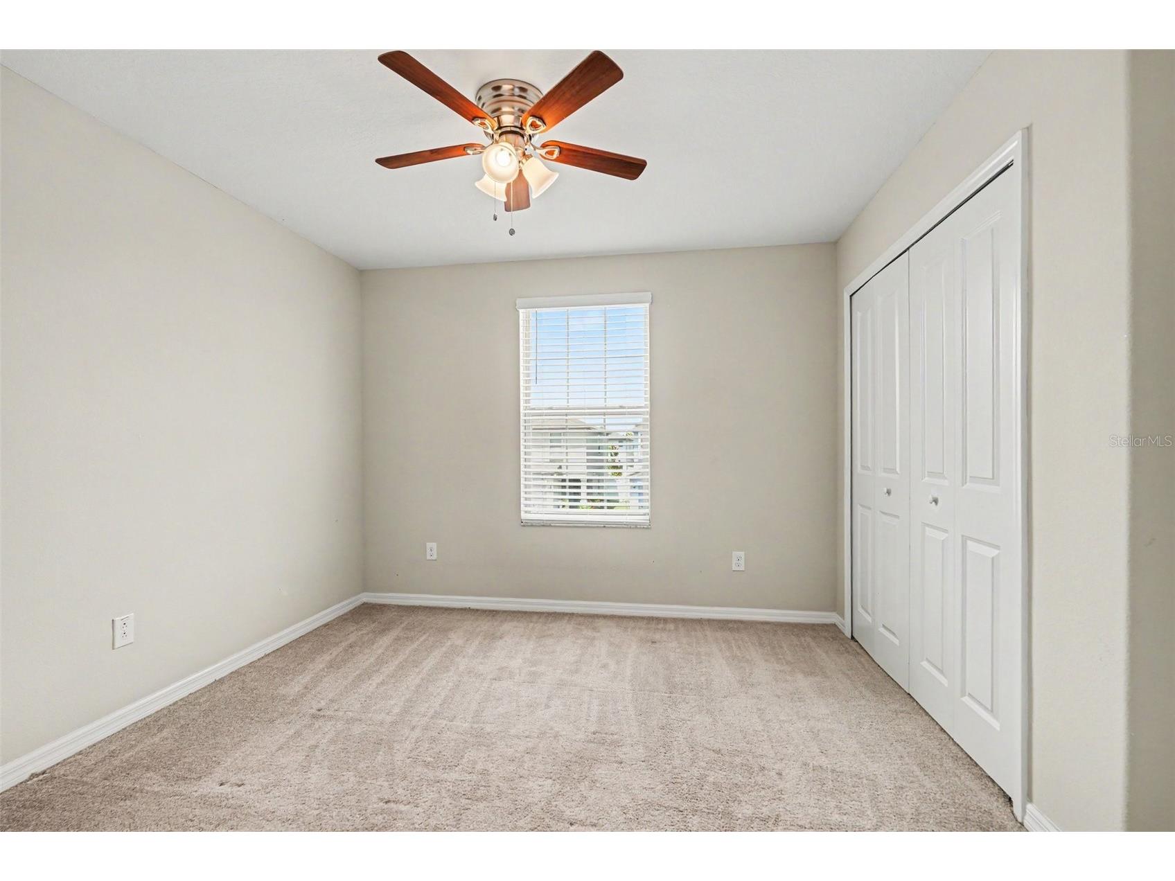 7421 French Marigold Avenue Tampa FL 33619 TB8506689 image15