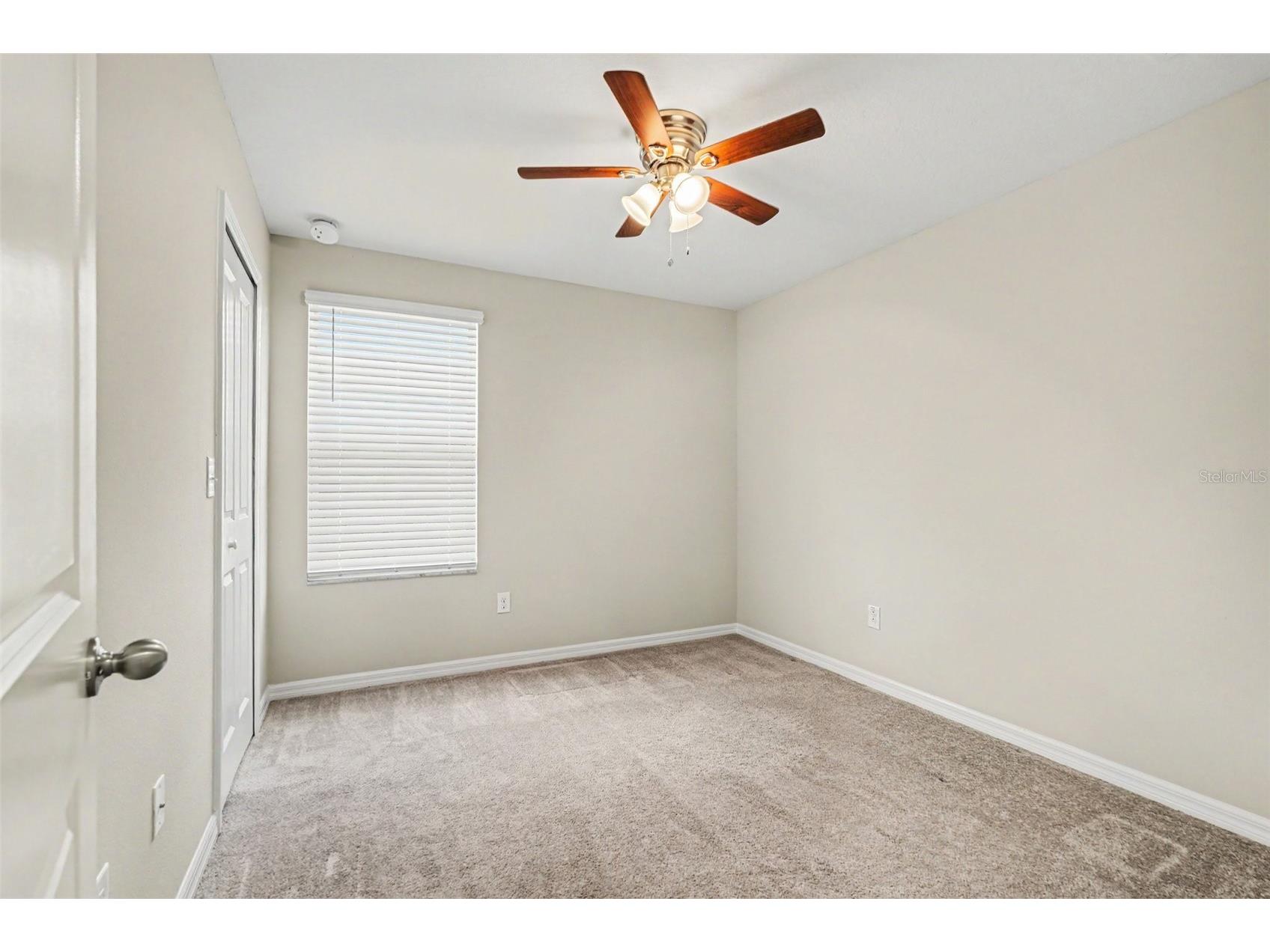 7421 French Marigold Avenue Tampa FL 33619 TB8506689 image16