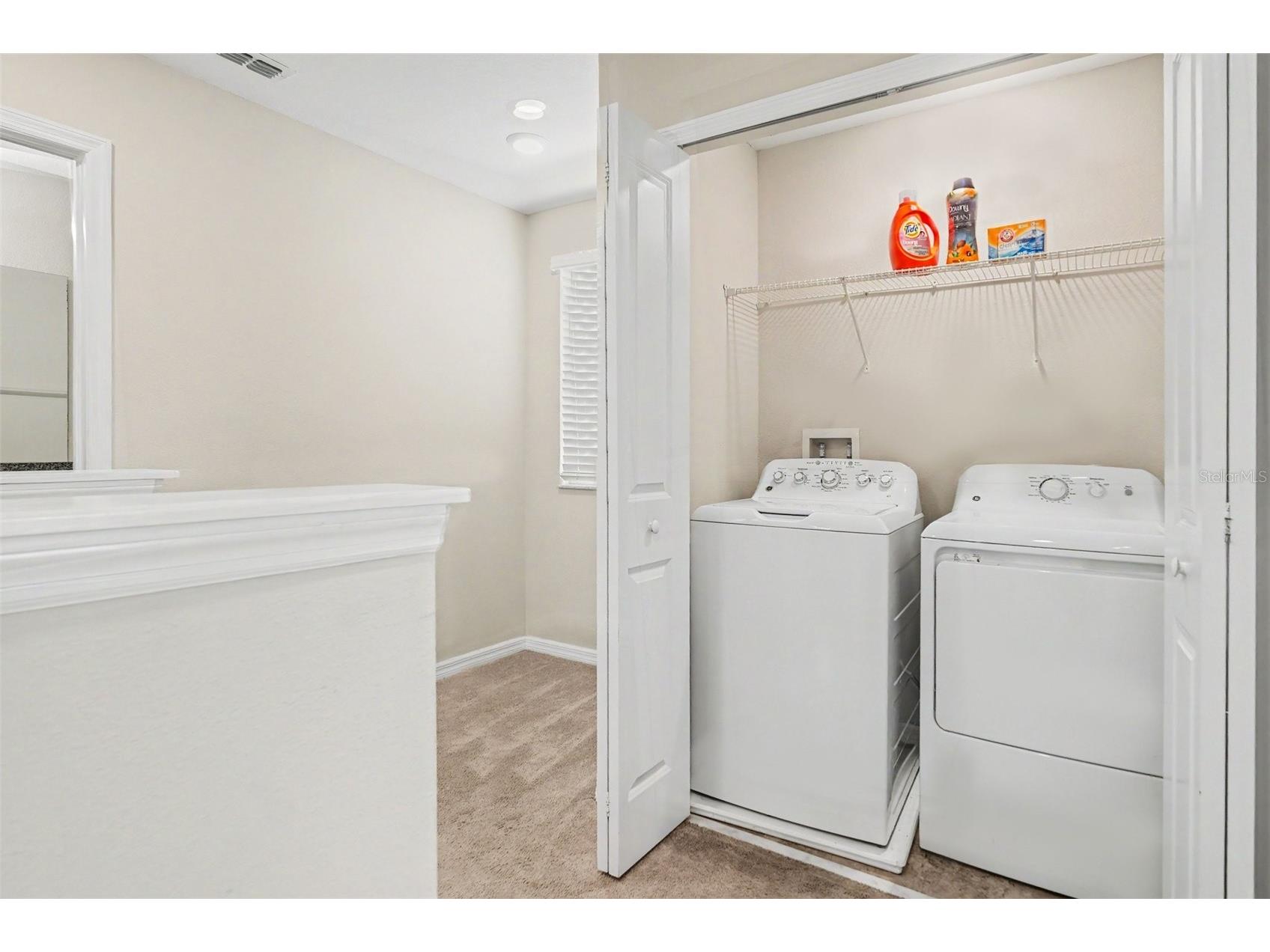 7421 French Marigold Avenue Tampa FL 33619 TB8506689 image22
